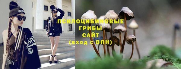 каннабис Михайловка