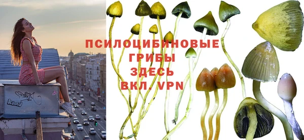 каннабис Михайловск