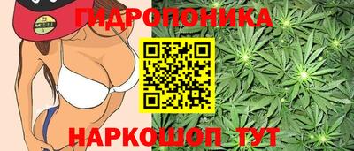 ПСИЛОЦИБИНОВЫЕ ГРИБЫ Канаш