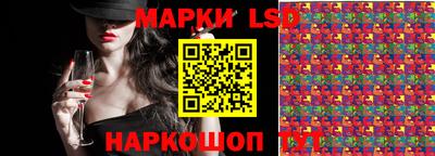 МДПВ Камышлов