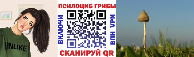 Псилоцибиновые грибы прущие грибы купить наркотики сайты Полевской