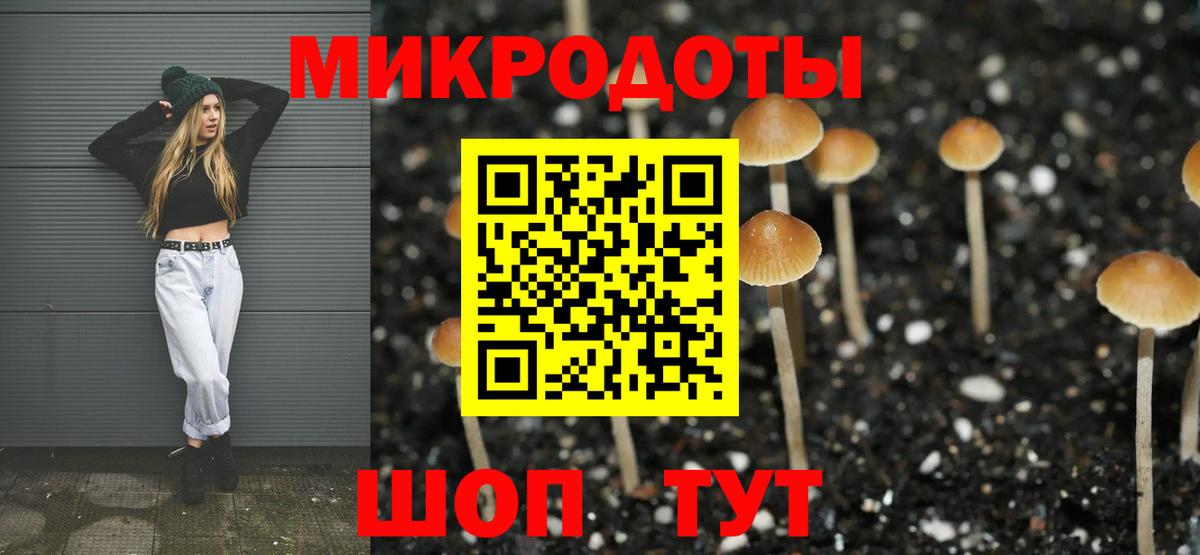 где найти наркотики  Вход с VPN  Полевской  Галлюциногенные грибы Cubensis 