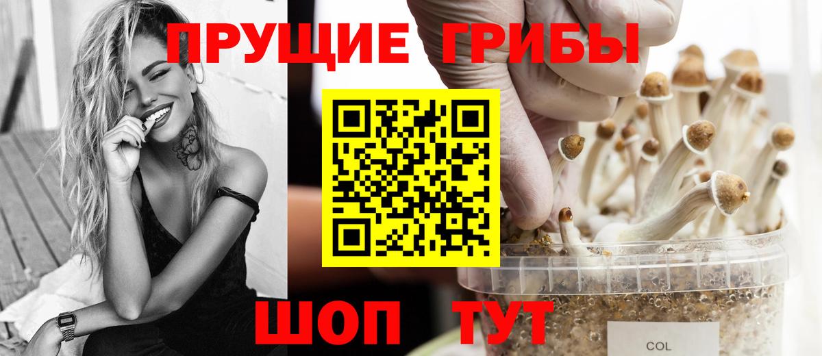 Галлюциногенные грибы Psilocybe Полевской